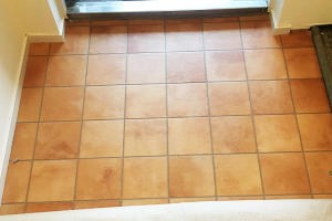 クッションフロア(CF)